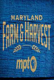 Maryland Farm & Harvest