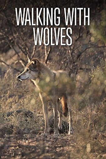 Walking with Wolves
