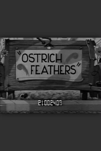 Ostrich Feathers