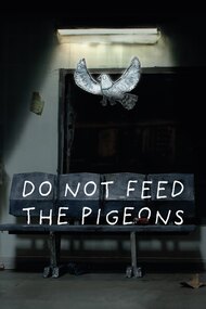 Do Not Feed The Pigeons