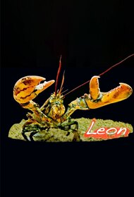 leon the lobster