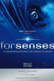 Forsenses - A Fascinating Journey into Nature & Sound