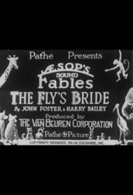 The Fly's Bride