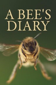 A Bee's Diary