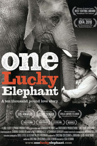 One Lucky Elephant