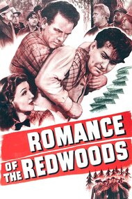 Romance of the Redwoods