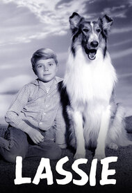 Lassie