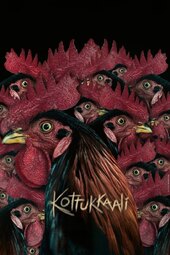 Kottukkaali