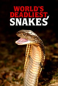 World's Deadliest Snakes