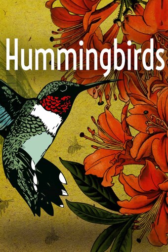 Hummingbirds: Jewelled Messengers