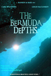 The Bermuda Depths