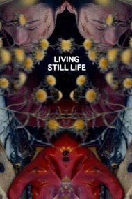 Living Still Life