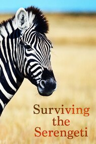 Surviving the Serengeti