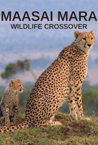 Masai Mara Wildlife Crossover