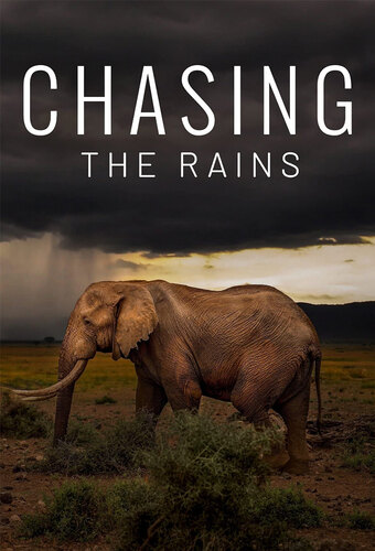Chasing the Rains