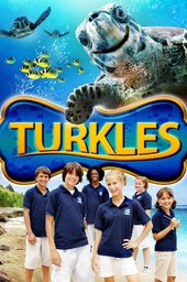 Turkles