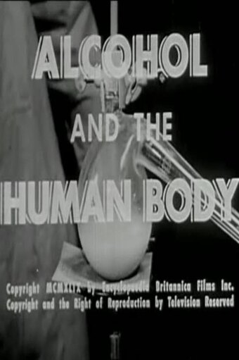 Alcohol and the Human Body