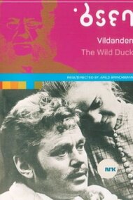 The Wild Duck