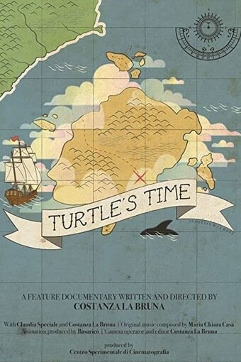 Turtle's Time