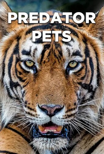 Predator Pets