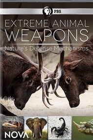 Extreme Animal Weapons