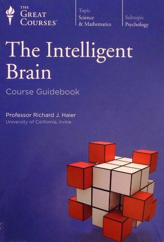 The Intelligent Brain
