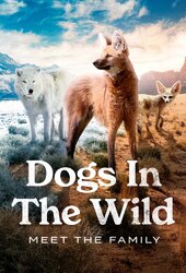 Dogs In the Wild: Meet The Family
