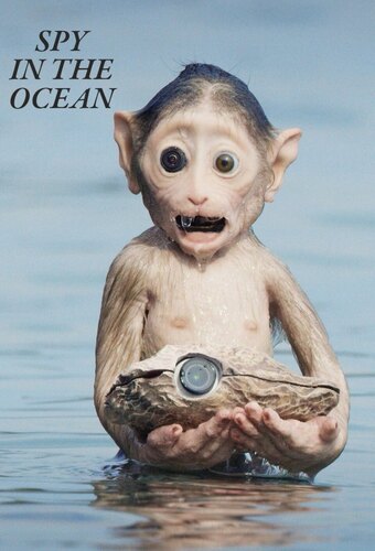 Spy in the Ocean