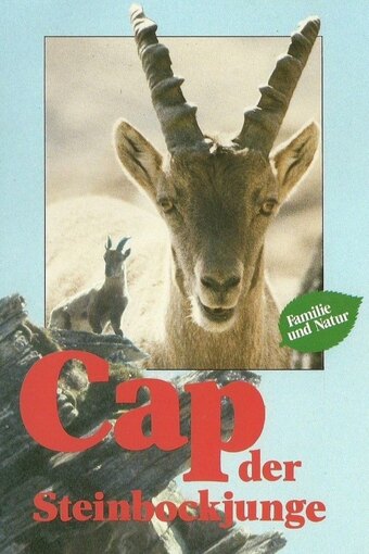 Cap der Steinbockjunge