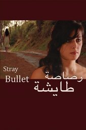 Stray Bullet