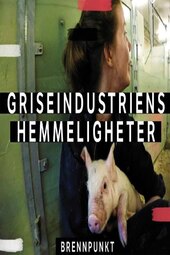 Griseindustriens hemmeligheter