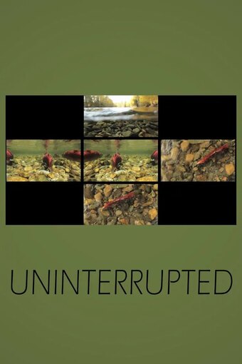 Uninterrupted