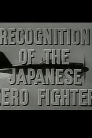 Recognition of the Japanese Zero Fighter