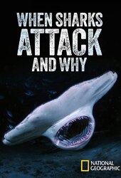 When Sharks Attack... And Why