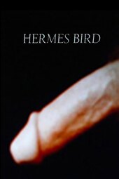 Hermes Bird