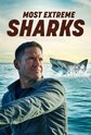 Most Extreme Sharks With Steve Backshall
