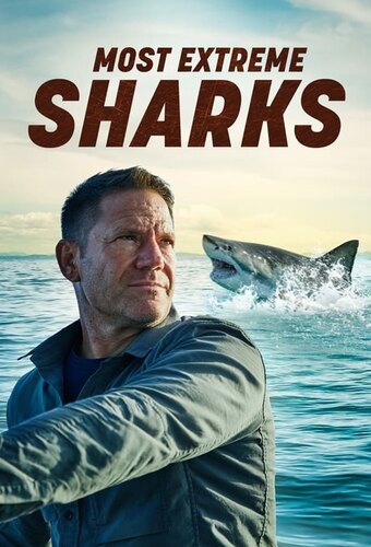 Most Extreme Sharks With Steve Backshall