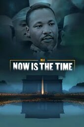 MLK: Now Is the Time
