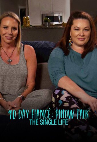 90 Day: The Single Life Pillow Talk
