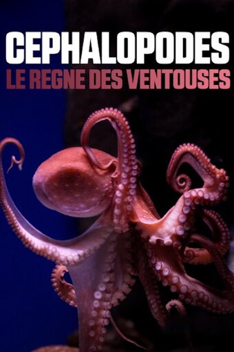 Cephalopods: The Reign of Suckers