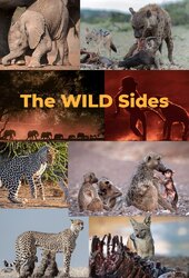 The Wild Sides