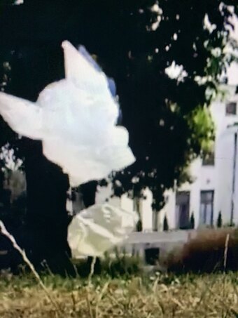 Plastic Bags