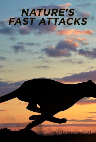 Nature's Fast Attacks