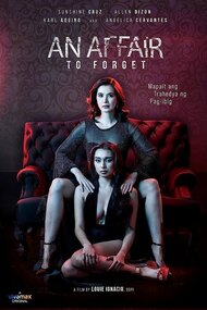 An Affair to Forget