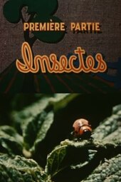 The Enemies of the Potato: Insects