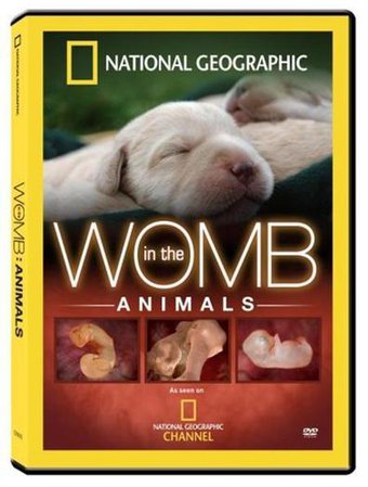 In The Womb: Animals