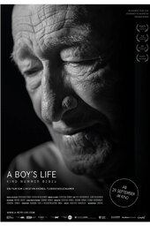 A Boy's Life