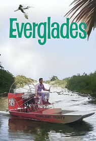 The Everglades