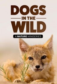 Dogs in the Wild, A Nature Miniseries