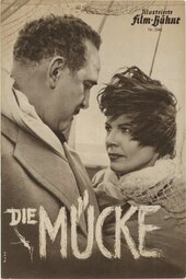 Die Mücke